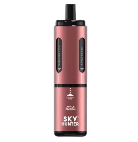 Sky Hunter 2600 Disposable Vape Pod Device